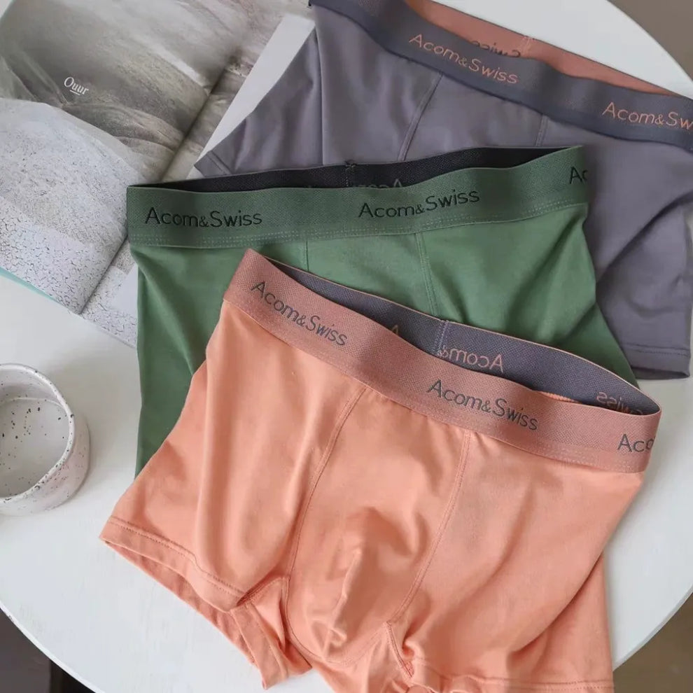 BOXERS HOMME ACORN & SWISS 2026 - GN