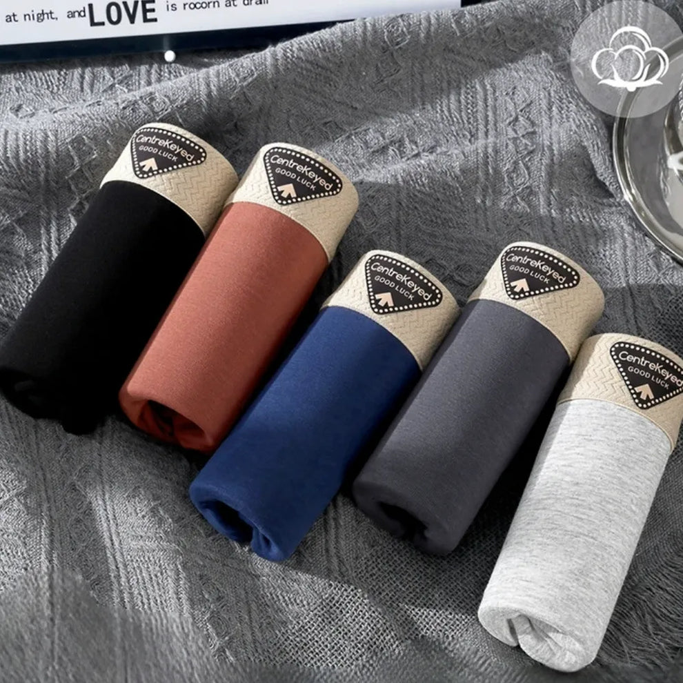 Boxers Coton SoftLine™ 2026-GN